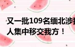 又一批109名缅北涉我电信网络诈骗犯罪嫌疑人集中移交我方！