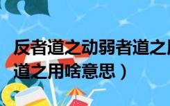 反者道之动弱者道之用解释（反者道之动弱者道之用啥意思）