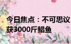 今日焦点：不可思议！渔民放生300斤海龟收获3000斤鲳鱼