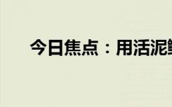 今日焦点：用活泥鳅钓鱼 为何会判刑?