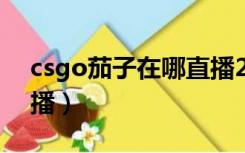 csgo茄子在哪直播2020（csgo茄子在哪直播）