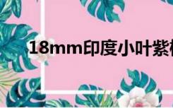 18mm印度小叶紫檀手串价格是多少？