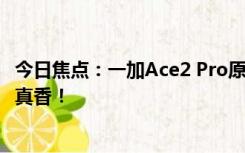 今日焦点：一加Ace2 Pro原神派蒙主题礼盒不容错过，联名真香！