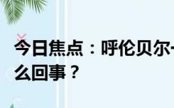 今日焦点：呼伦贝尔一地现大量飞虫，具体怎么回事？