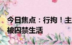 今日焦点：行拘！主播招募5演员虚构抱养女被囚禁生活