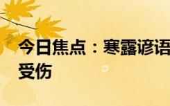 今日焦点：寒露谚语有哪些?寒露有霜，晚稻受伤