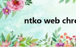 ntko web chrome在哪里下载