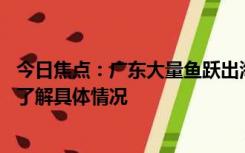 今日焦点：广东大量鱼跃出海面跳上岸 官方回应：需要现场了解具体情况