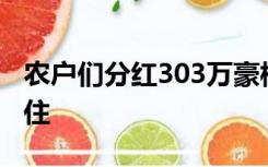 农户们分红303万豪横用麻袋装钱，笑容藏不住