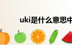 uki是什么意思中文（uki是什么）