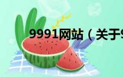 9991网站（关于9991网站的介绍）