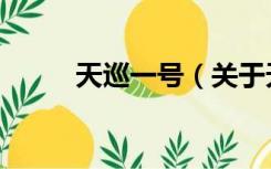 天巡一号（关于天巡一号的介绍）