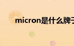 micron是什么牌子硬盘（microns）