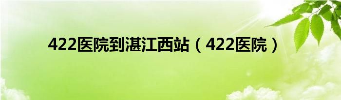 422医院到湛江西站（422医院）