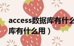 access数据库有什么用途功能（access数据库有什么用）