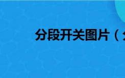 分段开关图片（分段开关是什么）