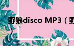 野狼disco MP3（野狼disco mp3免费下载）