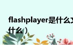 flashplayer是什么文件夹（flash player是什么）