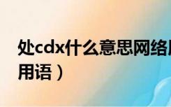 处cdx什么意思网络用语（cdx什么意思网络用语）