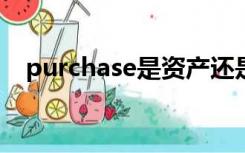 purchase是资产还是负债（purchases）