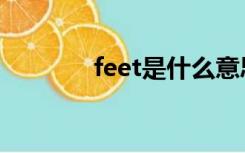 feet是什么意思（feet翻译）