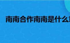 南南合作南南是什么意思（南南合作是指）