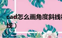 cad怎么画角度斜线视频（cad怎么画角度斜线）