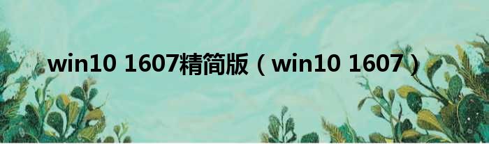 win10 1607精简版（win10 1607）