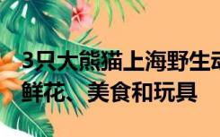 3只大熊猫上海野生动物园同日庆生，礼物有鲜花、美食和玩具