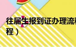 往届生报到证办理流程（往届生报到证改派流程）