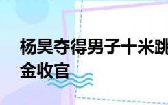 杨昊夺得男子十米跳台冠军，中国跳水队10金收官