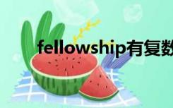 fellowship有复数吗（fellowship）