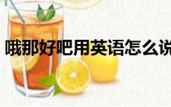 哦那好吧用英语怎么说（好吧用英语怎么说）