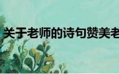 关于老师的诗句赞美老师（关于老师的诗句）