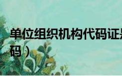 单位组织机构代码证是什么（单位组织机构代码）