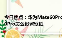 今日焦点：华为Mate60Pro设置壁纸教程介绍_华为Mate60Pro怎么设置壁纸