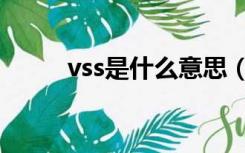 vss是什么意思（vss yinzuo cn）