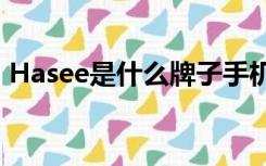 Hasee是什么牌子手机（hasee是什么牌子）