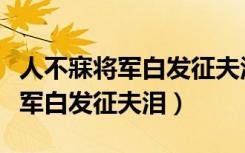 人不寐将军白发征夫泪表达的情感（人不寐将军白发征夫泪）