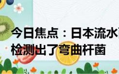 今日焦点：日本流水面致892人中毒：泉水中检测出了弯曲杆菌