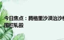 今日焦点：腾格里沙漠治沙植物被车碾轧 管护方：车辆冲断围栏轧毁