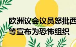 欧洲议会议员怒批西方媒体：有必要将CNN等宣布为恐怖组织