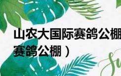 山农大国际赛鸽公棚2019决赛（山农大国际赛鸽公棚）