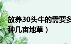 放养30头牛的需要多少亩山地（养30头牛要种几亩地草）