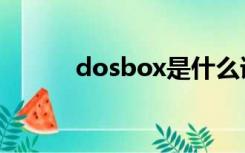 dosbox是什么语言（dosbox）