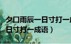 夕口雨辰一日寸打一成语是什么（夕口雨辰一日寸打一成语）