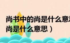 尚书中的尚是什么意思江南百景图（尚书中的尚是什么意思）