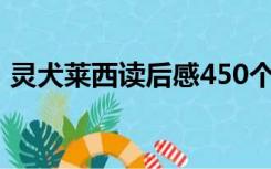 灵犬莱西读后感450个字（灵犬莱西读后感）