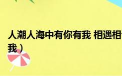 人潮人海中有你有我 相遇相识相互折磨（人潮人海中有你有我）