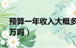 预算一年收入大概多少（做预算一年能挣50万吗）